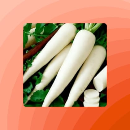 Free Gift - Radish White Seeds - Excellent Germination - Flash Sale