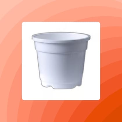 Free Gift - 4 Inch White Nursery Pot - Flash Sale