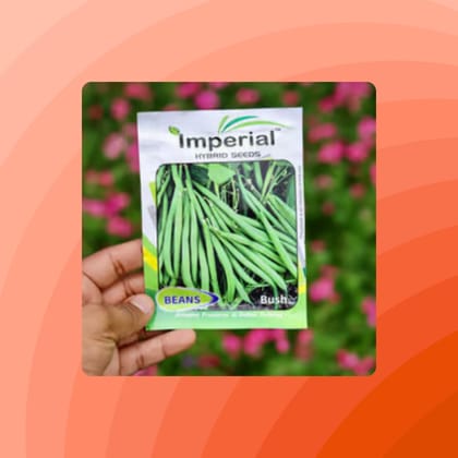 Free Gift - Beans seeds - Excellent Germination - Flash Sale
