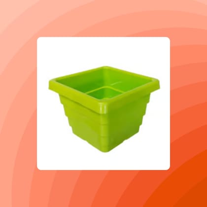 Free Gift - 4 Inch Green Premium Orchid Square Plastic Pot - Flash Sale