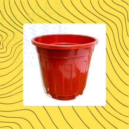 Free Gift - 6 Inch Red Super Nursery Pot - Flash Sale