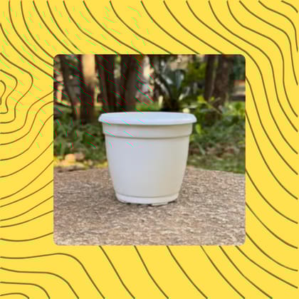 Free Gift - 3 Inch Cloudy White Elora Premium Plastic Planter - Flash Sale