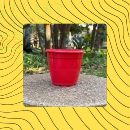 Free Gift - 4 Inch Ruby Red Elora Premium Plastic Planter - Flash Sale