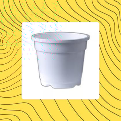 Free Gift - 4 Inch White Nursery Pot - Flash Sale