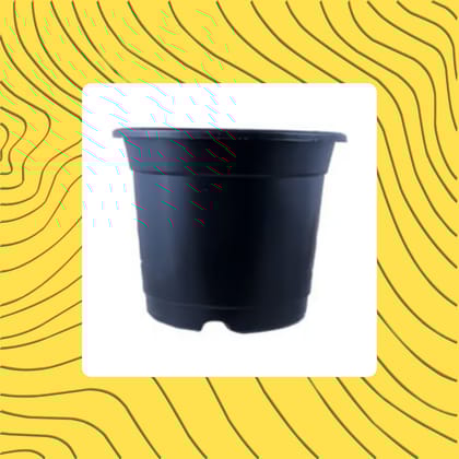 Free Gift - 4 Inch Black Nursery Pot - Flash Sale