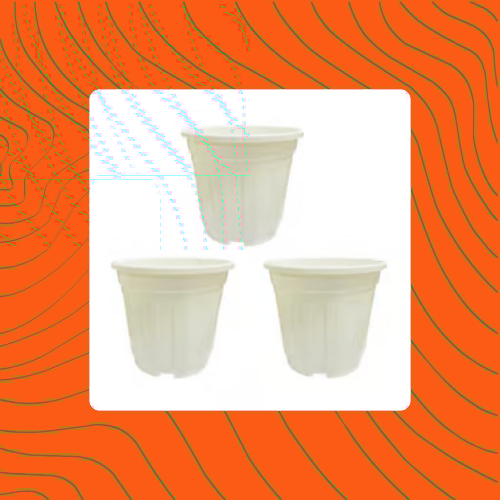 Free Gift - Set of 03 - 6 Inch White Super Nursery Pot - Flash Sale Free Gift - Set of 03 - 6 Inch White Super Nursery Pot - Flash Sale