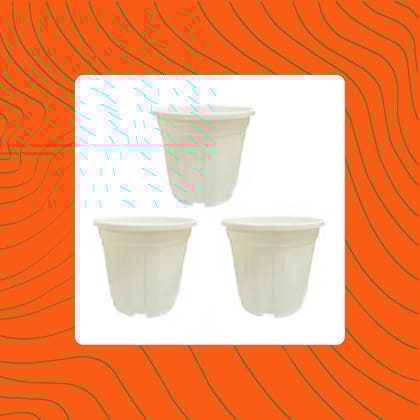 Free Gift - Set of 03 - 6 Inch White Super Nursery Pot - Flash Sale