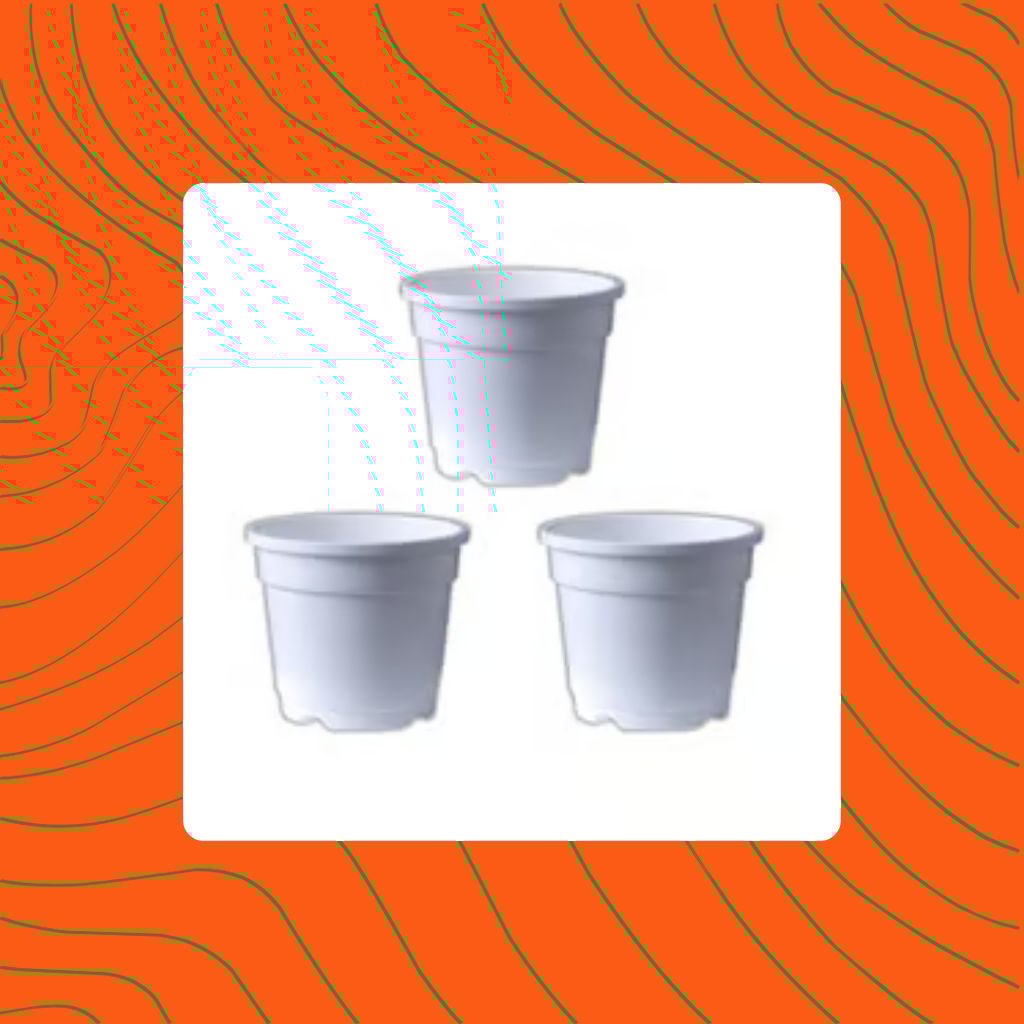 Free Gift - Set of 03 - 4 Inch White Nursery Pot - Flash Sale Free Gift - Set of 03 - 4 Inch White Nursery Pot - Flash Sale