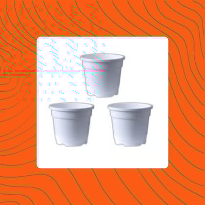 Free Gift - Set of 03 - 4 Inch White Nursery Pot - Flash Sale