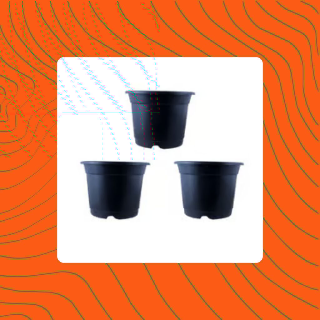 Free Gift - Set of 03 - 4 Inch Black Nursery Pot - Flash Sale Free Gift - Set of 03 - 4 Inch Black Nursery Pot - Flash Sale