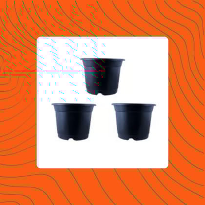 Free Gift - Set of 03 - 4 Inch Black Nursery Pot - Flash Sale