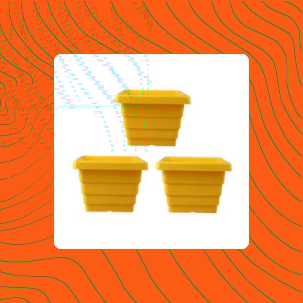 Free Gift - Set of 03 - 4 Inch Yellow Premium Orchid Square Plastic Pot - Flash Sale Free Gift - Set of 03 - 4 Inch Yellow Premium Orchid Square Plastic Pot - Flash Sale