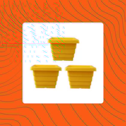Free Gift - Set of 03 - 4 Inch Yellow Premium Orchid Square Plastic Pot - Flash Sale
