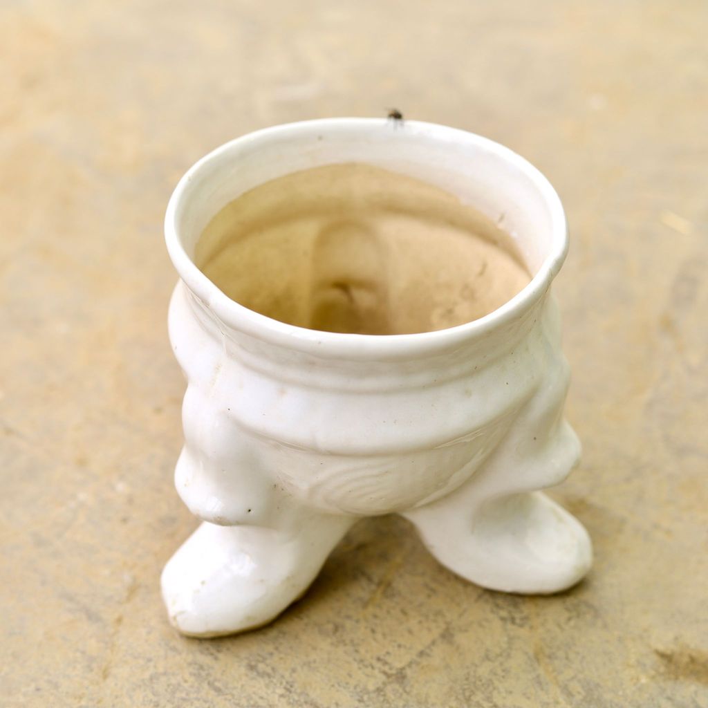 6 Inch Rabbit Designer Ceramic Pot (any colour & design)