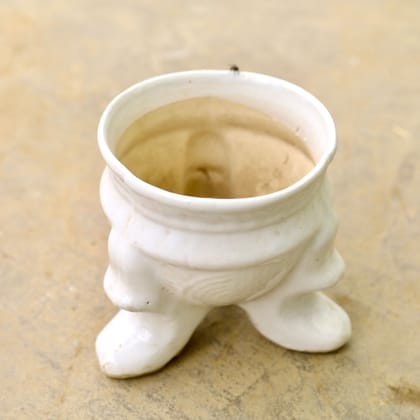 Buy 6 Inch Rabbit Designer Ceramic Pot (any colour & design) Online | Urvann.com