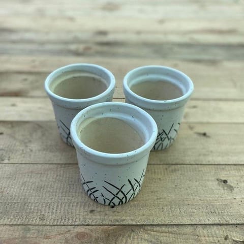 Set of 3 - 3 X 5 White Collar Designer Cup Ceramic Pot