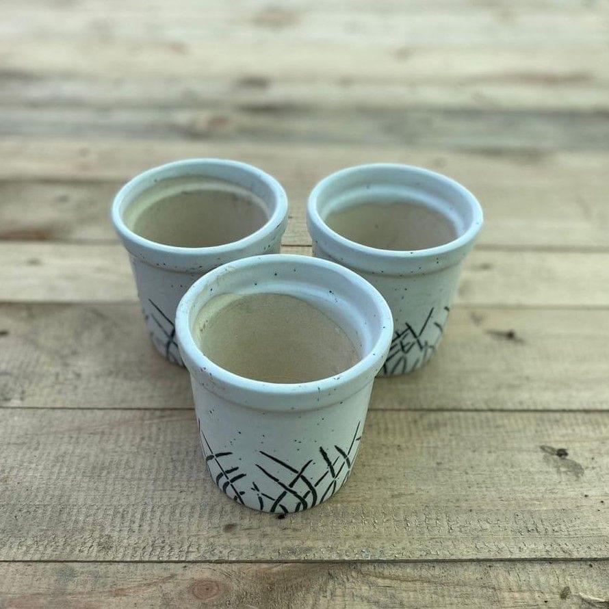 Set of 3 - 3 X 5 White Collar Designer Cup Ceramic Pot