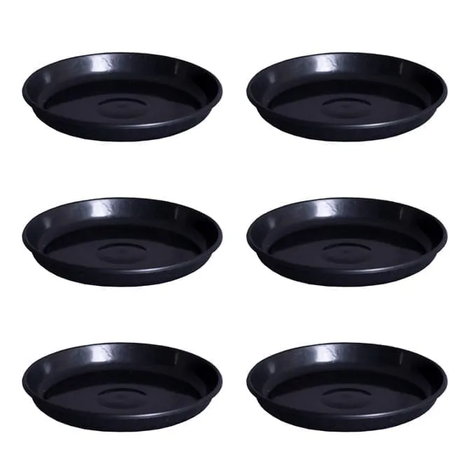 Set of 6 - 6.5 Inch Black Premium Black Tray - To keep under the Pot