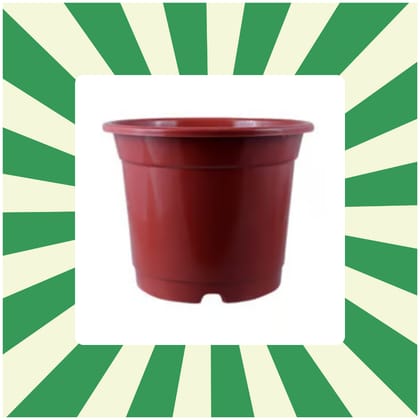 Free Gift - 5 Inch Red Nursery Pot - Flash Sale