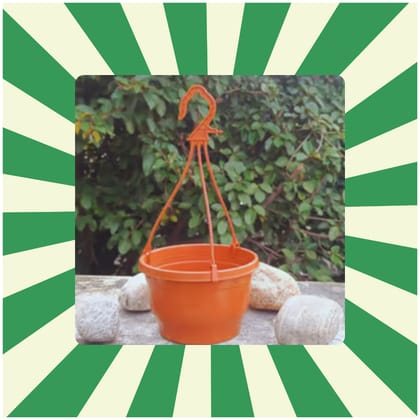 Free Gift - 6 Inch Terracotta Red Premium Evara Hanging Plastic Pot - Flash Sale