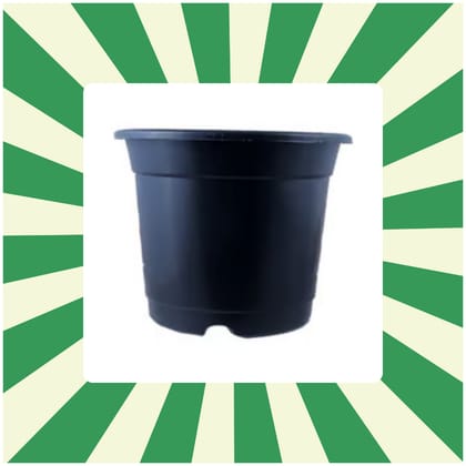 Free Gift - 8 Inch Black Nursery Pot - Flash Sale