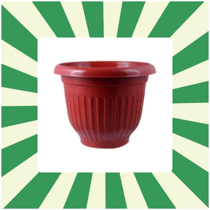 Free Gift - 8 Inch Terracotta Red Olive Plastic Pot - Flash Sale