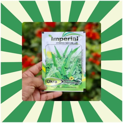 Free Gift - Bhindi / Arya / Lady Finger / Okra Seeds - Excellent Germination - Flash Sale