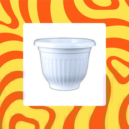 Free Gift - 8 Inch White Olive Plastic Pot - Flash Sale