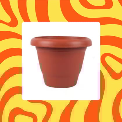 Free Gift - 8 Inch Terracotta Red Classy Plastic Pot - Flash Sale