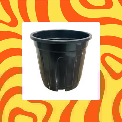 Free Gift - 6 Inch Black Super Nursery Pot - Flash Sale