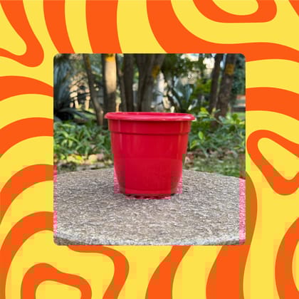 Free Gift - 5 Inch Ruby Red Elora Premium Plastic Planter - Flash Sale