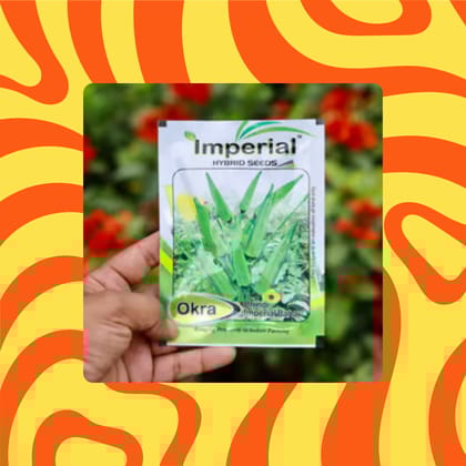 Free Gift - Bhindi / Arya / Lady Finger / Okra Seeds - Excellent Germination - Flash Sale