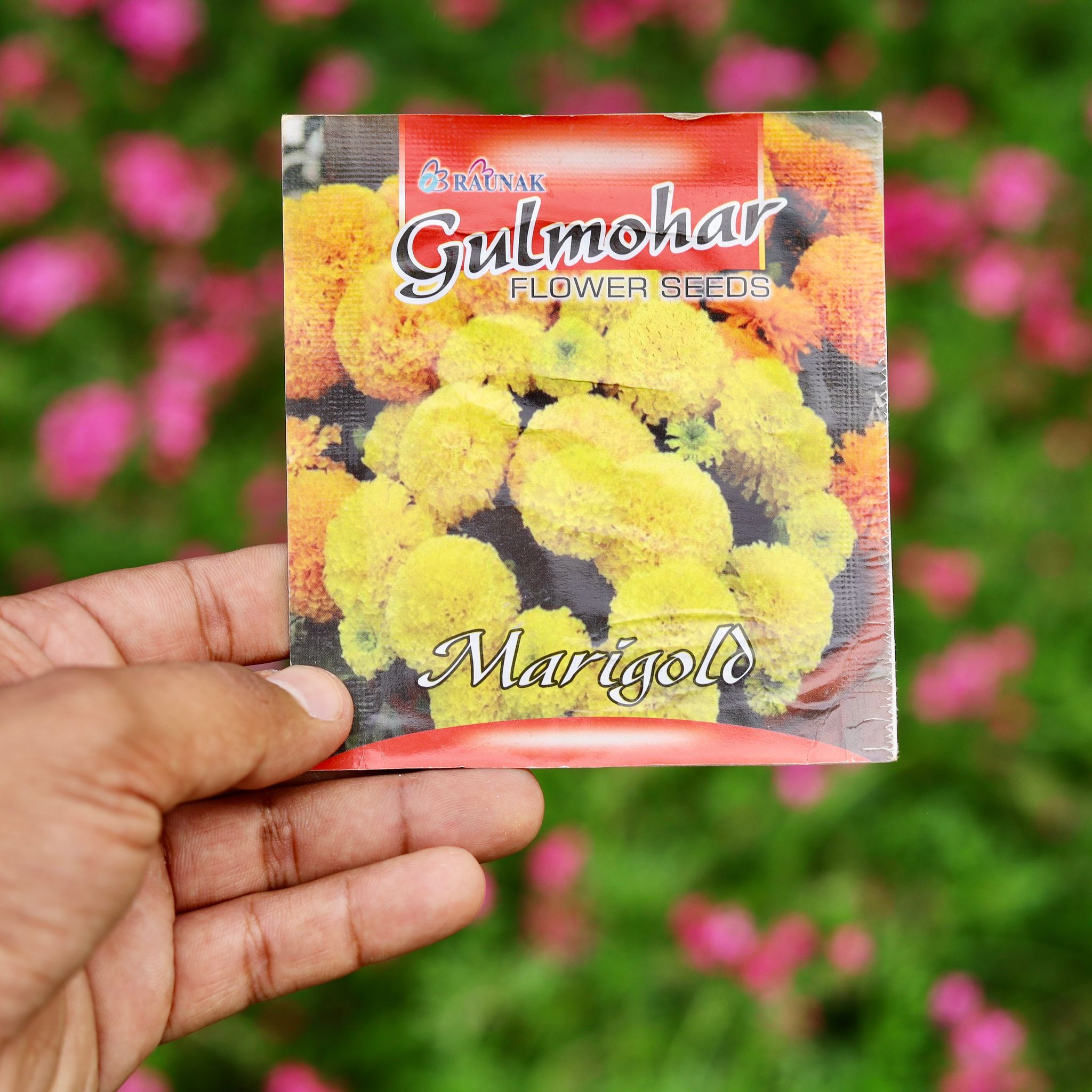 Marigold / Genda Mixed Seeds - Excellent Germination