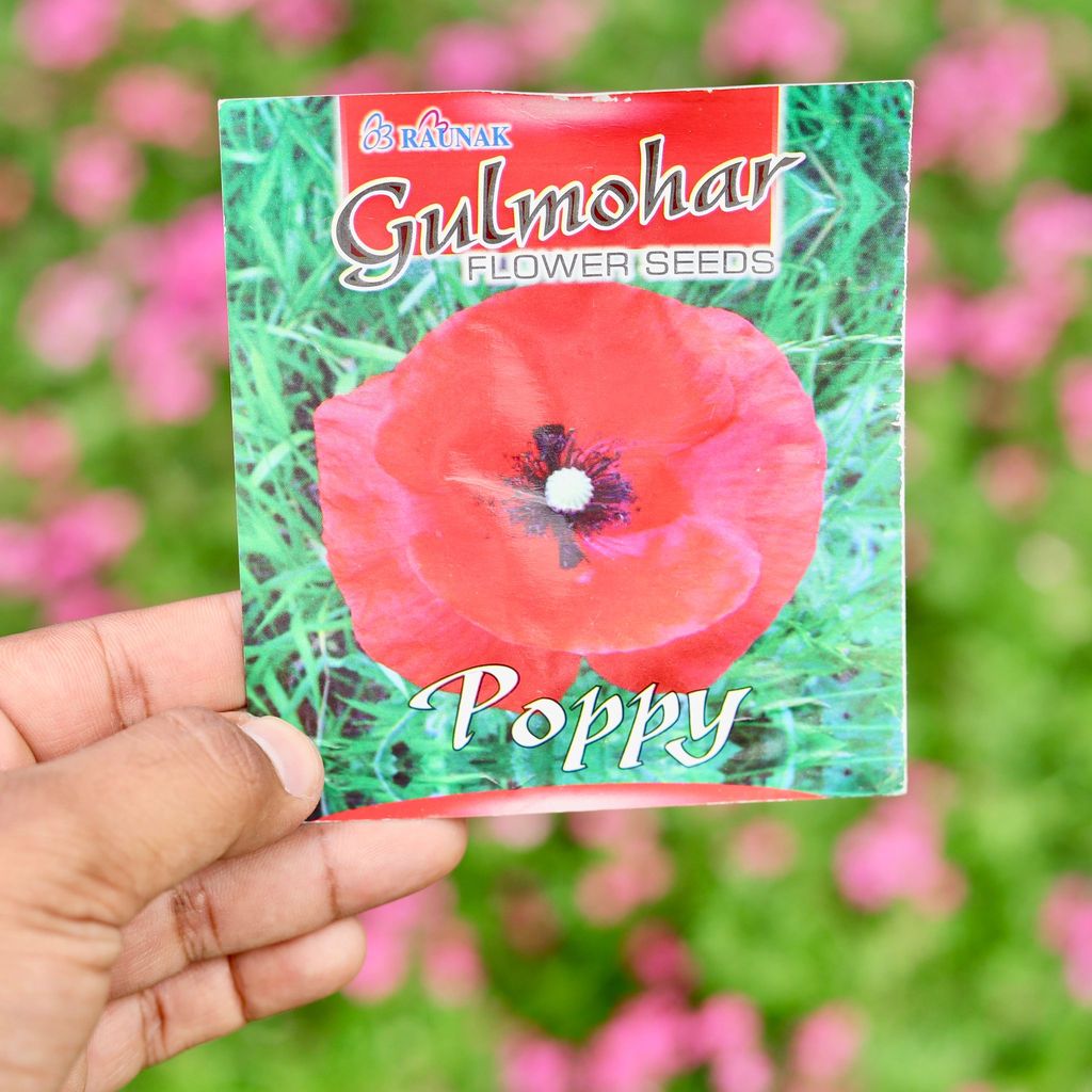 Poppy Seeds - Excellent Germination