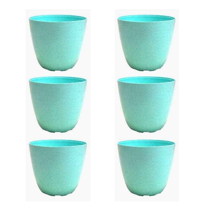 Buy Set of 6 - 4 Inch Blue Marble Premium Orchid Round Plastic Pot Online | Urvann.com Set of 6 - 4 Inch Blue Marble Premium Orchid Round Plastic Pot