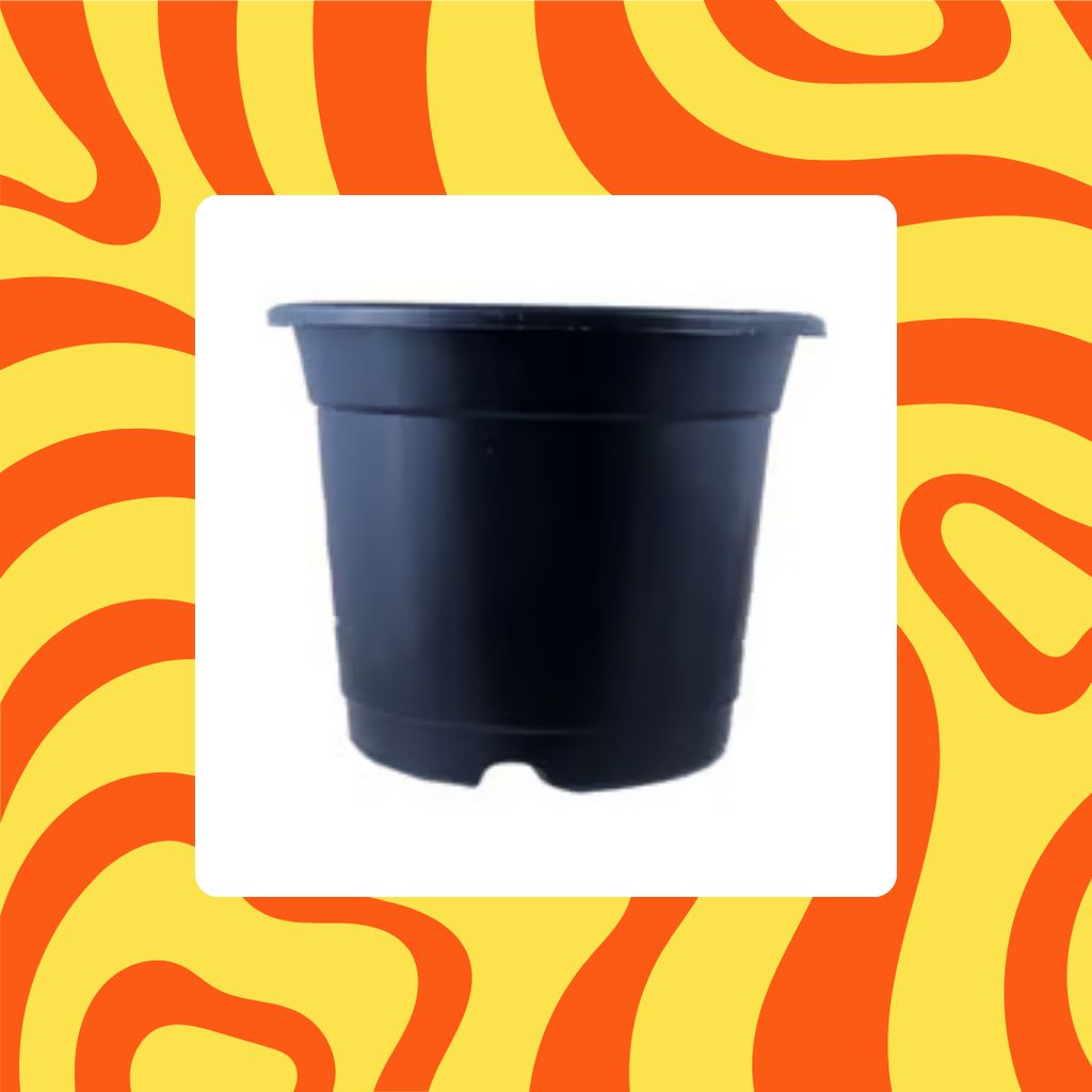 Free Gift - 4 Inch Black Nursery Pot - Flash Sale Free Gift - 4 Inch Black Nursery Pot - Flash Sale