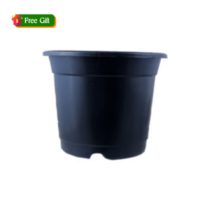 Free Gift -  4 Inch Black Nursery Pot - Flash Sale