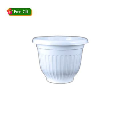 Free Gift - 8 Inch White Olive Plastic Pot - Flash Sale