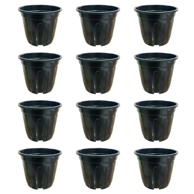 Set of 12 - 6 Inch Black Super Nursery Pot