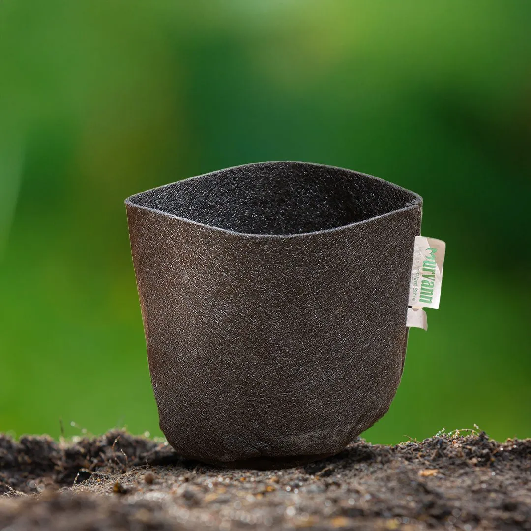 6x6 Inch Round Black LUMA Grow Bag - 400 GSM Heavy Duty Geo Fabric, Breathable, Reusable Planter for Home Gardening