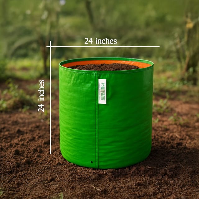 Free Next Day Delivery - 24 X 24 Inch Grow Bag