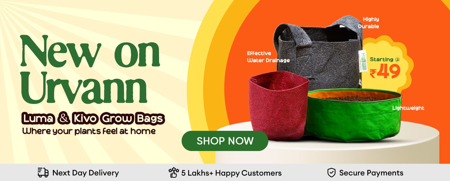 grow bags collection