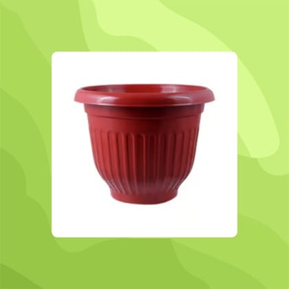 Free Gift - 8 Inch Terracotta Red Olive Plastic Pot - Flash Sale