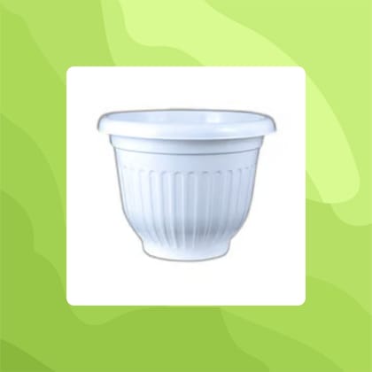 Free Gift - 8 Inch White Olive Plastic Pot - Flash Sale