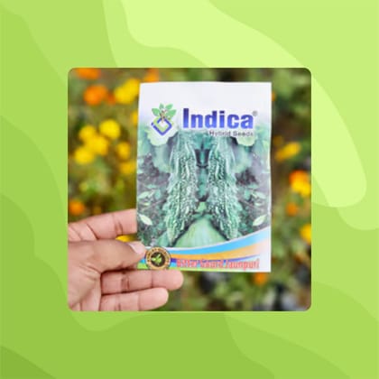 Free Gift - Bitter Gourd / Karela Seeds - Excellent Germination - Flash Sale