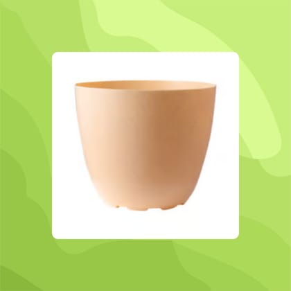 Free Gift - 6 Inch Beige Marble Premium Orchid Round Plastic Pot - Flash Sale