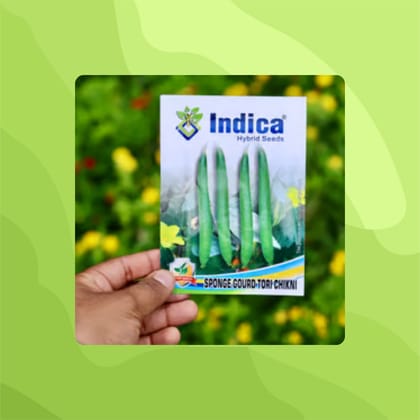 Free Gift - Sponge Gourd / Tori Seeds - Excellent Germination - Flash Sale