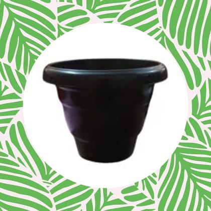 Free Gift - 8 Inch Black Classy Plastic Pot - Flash Sale
