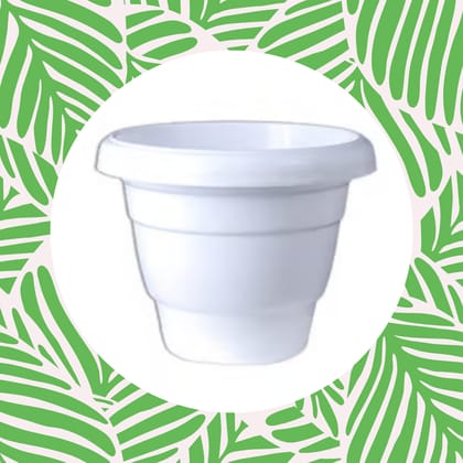Free Gift - 8 Inch White Classy Plastic Pot - Flash Sale