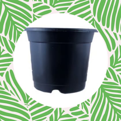 Free Gift - 4 Inch Black Nursery Pot - Flash Sale